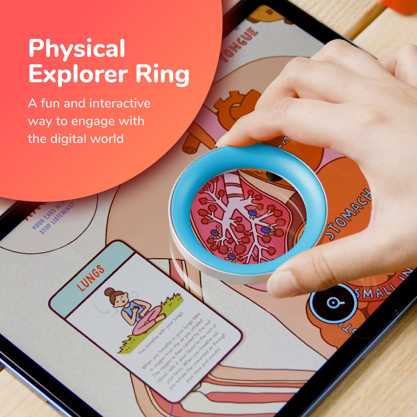 Peekabook Explorer Ring (Only)